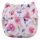 Blueberry Simplex Organic ROSE