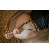 Puppidiapers Merino Wool OS+ Cover STAY CALM