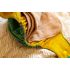 Puppidiapers Extremely absorbent fold-over insert