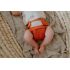 Puppidiapers Merino Wool MINI OS Cover RUSTY FOX suchý zip