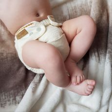 Puppidiapers Merino Wool NB Cover PURE NATURE suchý zip