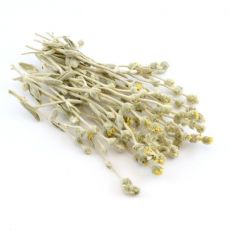 Bio Řecký horský čaj 50g